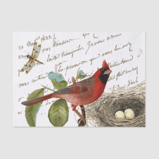 Cardinaal Bird Nest Dragonfly French Script Music Tissuepapier (Voorkant)