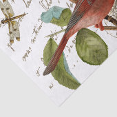 Cardinaal Bird Nest Dragonfly French Script Music Tissuepapier (Detail)