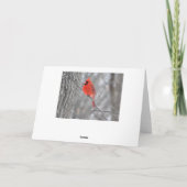 Cardinaal Creek Profile Wenskaart Feestdagen Kaart (Achterkant)