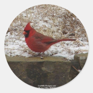 Cardinaal Hot Springs Nat. Park Mountain AR Gifts Ronde Sticker