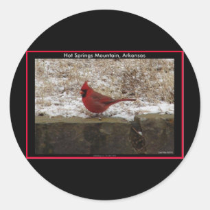 Cardinaal Hot Springs Nat. Park Mountain AR Gifts Ronde Sticker