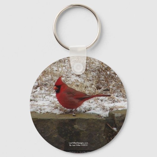 Cardinaal Hot Springs Nat. Park Mountain AR Gifts Sleutelhanger (Voorkant)