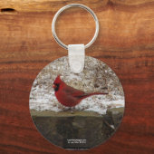Cardinaal Hot Springs Nat. Park Mountain AR Gifts Sleutelhanger (Voorkant)