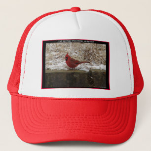 Cardinaal Hot Springs Nat. Park Mountain AR Gifts Trucker Pet
