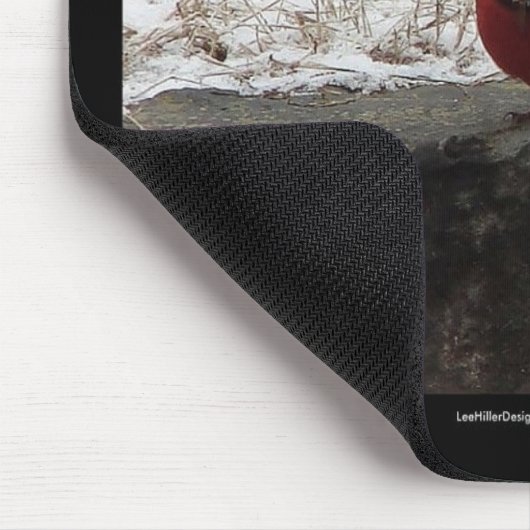 Cardinaal Hot Springs Nat. Park Mt AR Gifts Appare Muismat (Hoek)