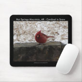 Cardinaal Hot Springs Nat. Park Mt AR Gifts Appare Muismat (Met muis)