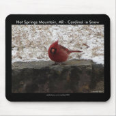 Cardinaal Hot Springs Nat. Park Mt AR Gifts Appare Muismat (Voorkant)