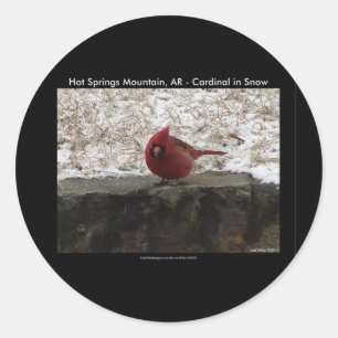 Cardinaal Hot Springs Nat. Park Mt AR Gifts Appare Ronde Sticker