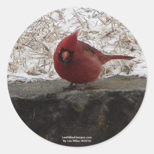 Cardinaal Hot Springs Nat. Park Mt AR Gifts Appare Ronde Sticker