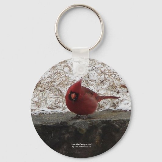 Cardinaal Hot Springs Nat. Park Mt AR Gifts Appare Sleutelhanger (Voorkant)