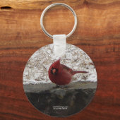 Cardinaal Hot Springs Nat. Park Mt AR Gifts Appare Sleutelhanger (Voorkant)