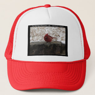 Cardinaal Hot Springs Nat. Park Mt AR Gifts Appare Trucker Pet