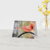 Cardinaal on the shepherds hook blank inside kaart (Gele Bloem)