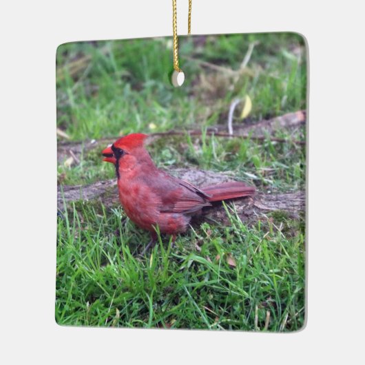 Cardinaal Ornament (Links)