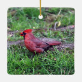 Cardinaal Ornament (Achterkant)