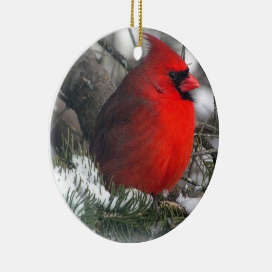 Cardinaal Ornament (Rechts)