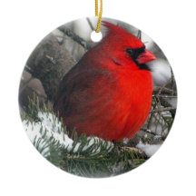 Cardinaal Ornament
