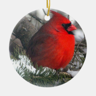 Cardinaal Ornament
