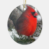 Cardinaal Ornament (Links)