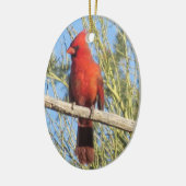 Cardinaal Ornament (Links)