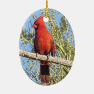 Cardinaal Ornament