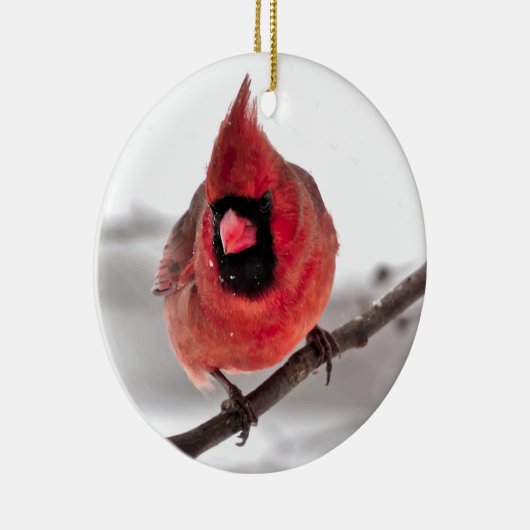Cardinaal Ornament (Rechts)