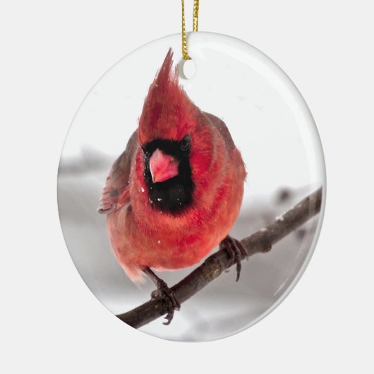 Cardinaal Ornament (Links)