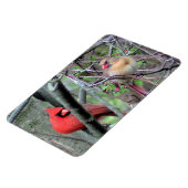 Cardinaal Pair Flexble Magnet Magneet (Linkerzijde)