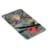 Cardinaal Pair Flexble Magnet Magneet (Rechterzijde)