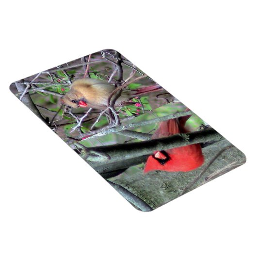 Cardinaal Pair Flexble Magnet Magneet (Rechterzijde)