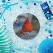 Cardinaal Red Winter Foto Papieren Bordje (Feest)