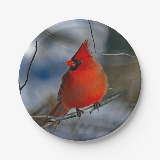 Cardinaal Red Winter Foto Papieren Bordje (Voorkant)