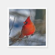 Cardinaal Red Winter Foto