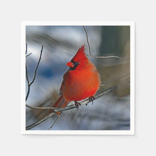 Cardinaal Red Winter Foto Servet (Voorkant)