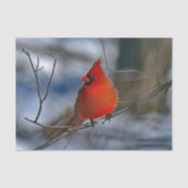 Cardinaal Red Winter Foto Tissuepapier (Voorkant)