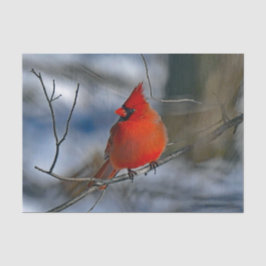 Cardinaal Red Winter Foto Tissuepapier