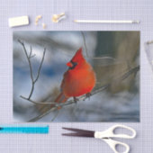 Cardinaal Red Winter Foto Tissuepapier (Craft)