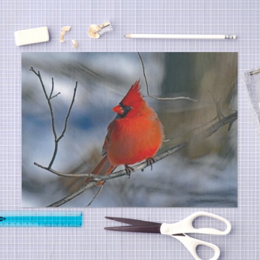 Cardinaal Red Winter Foto Tissuepapier (Craft)