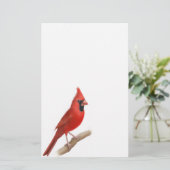 Cardinaal Roodbeestje Briefpapier (Staand voorkant)