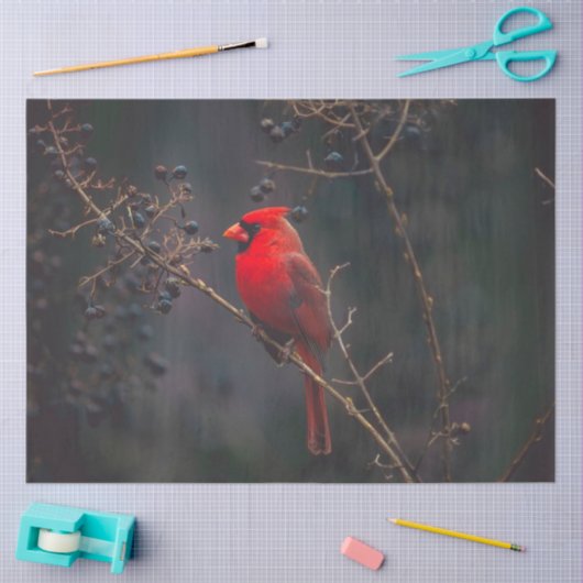 Cardinaal weefselpapier tissuepapier (Craft)