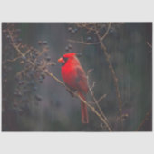 Cardinaal weefselpapier tissuepapier (Voorkant)