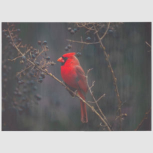 Cardinaal weefselpapier tissuepapier