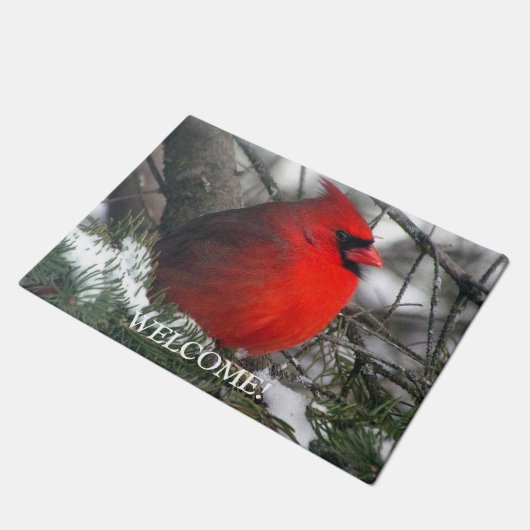 Cardinaal Welkom Mat (Schuin)