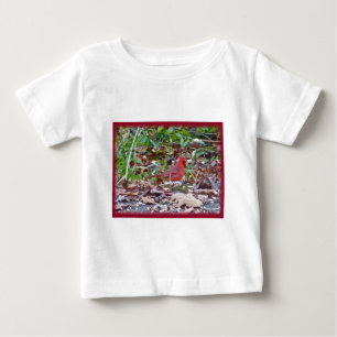 Cardinaal Wild Songbird Series