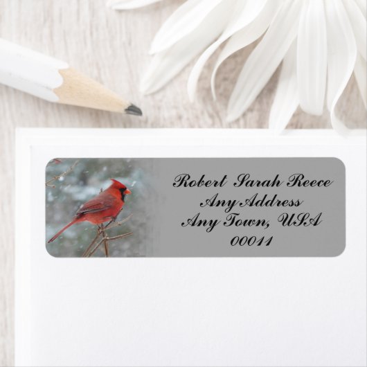 CARDINAL-3 ETIKET (Insitu)