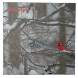 Cardinal and Jay Tegeltje