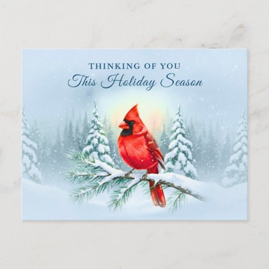 Cardinal Bird Sympathy Condolence Christmas Winter Feestdagenkaart (Voorkant)