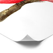 Cardinal bird watercolor poster (Hoek)