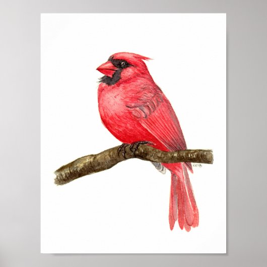 Cardinal bird watercolor poster (Voorkant)