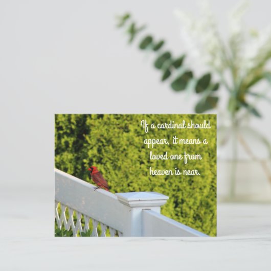 Cardinal Briefkaart (Staand voorkant)